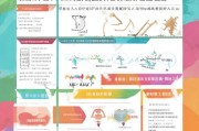 淄博社区补贴申请全攻略，条件、流程与注意事项