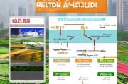襄阳市蔬菜补贴申请全攻略，政策解读、条件流程与注意事项