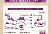 浙江流产补贴申请全指南，条件、流程、材料及注意事项