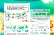 宁波海鲜补贴申请指南，政策解读、流程详解与实用贴士