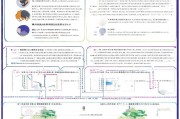 海宁市企业设备更新补贴申请全攻略，政策解读、流程指引与注意事项
