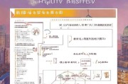 芜湖面试补贴申请全攻略，政策解读、申请流程与注意事项