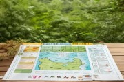 江西森林植物补贴申请指南，政策解读、流程与注意事项