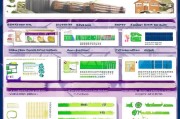廉江补贴政策全攻略，申请流程、条件及金额详解