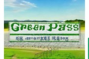 大棚补贴申请书，助力乡村振兴的绿色通行证