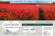 红花草种植补贴政策解读，申请条件、流程与效益分析