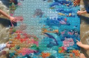 海洋伙伴拼图，海洋爱好者与拼图爱好者相融