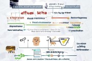 高中作业补贴申请全攻略，条件、流程、注意事项详解