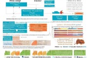 2015年幼儿园补贴申请全指南，政策解读、申请流程与注意事项