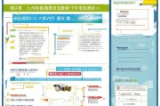 深圳租房补贴申请全攻略，条件、流程、材料及注意事项