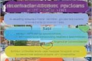 申请留学，从准备到成功的全面流程指南