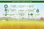 早稻推广补贴申请全指南，流程、条件与注意事项