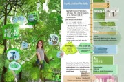 义务植树春季补贴申请指南，政策解读与流程详解