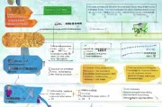 疫情期旅游补贴申请全攻略，政策解读、流程指南与注意事项