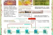 江西初级会计补贴申请全攻略，条件、流程、注意事项一文读懂