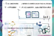 合肥本科租房补贴申请指南，条件、流程、注意事项全解析