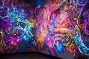 投影照片，开启艺术 wonderland