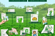油茶种植补贴申请全指南，从政策解读到实操步骤，助您轻松申领