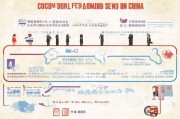 全面解析单独二胎申请流程，从准备到成功获批的详细指南