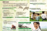 金华家庭农场申请补贴全攻略，政策解读、流程指引与实操技巧