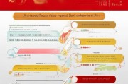 济南电子补贴申请全攻略，从政策解读到操作指南，一文搞定