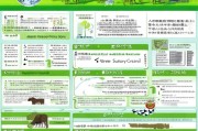 2024年养牛补贴政策全攻略，从政策解读到申请流程，助你精准申领补贴