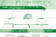 天水大学就业补贴申请指南，政策解读、申请流程与注意事项