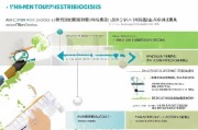 宣恩创业补贴申请全攻略，从政策解读到实操指南