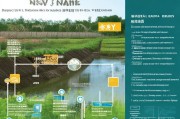 挖鱼塘补贴申请全攻略，条件、流程与注意事项详解