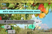 果树补贴金申请全攻略，从政策解读到资金到账，手把手教你搞定