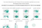 河北邯郸学院补贴申请全攻略，流程、条件与注意事项详解