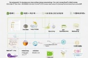东营市人才补贴申请全攻略，从准备到成功申请的详细流程