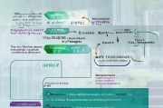 疫情下政府补贴申请全指南，流程、条件与注意事项