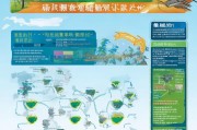海南购房补贴申请全攻略，渠道、流程、材料及注意事项