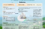 南阳生态补贴申请指南，政策解读、流程与注意事项