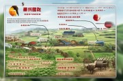 广西牛羊养殖补贴申请指南，政策解读与实操全攻略